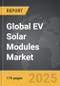 EV Solar Modules - Global Strategic Business Report - Product Thumbnail Image