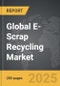 E-Scrap Recycling - Global Strategic Business Report - Product Thumbnail Image
