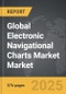 Electronic Navigational Charts Market - Global Strategic Business Report - Product Image