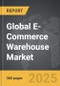E-Commerce Warehouse - Global Stategic Business Report - Product Thumbnail Image
