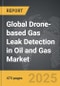 Drone-based Gas Leak Detection in Oil and Gas - Global Strategic Business Report - Product Thumbnail Image