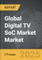 Digital TV SoC Market - Global Strategic Business Report - Product Thumbnail Image