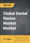 Dental Resins Market - Global Strategic Business Report - Product Thumbnail Image