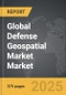 Defense Geospatial Market - Global Strategic Business Report - Product Thumbnail Image