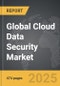 Cloud Data Security - Global Stategic Business Report - Product Thumbnail Image