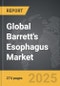 Barrett's Esophagus - Global Strategic Business Report - Product Thumbnail Image