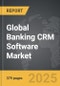 Banking CRM Software - Global Stategic Business Report - Product Thumbnail Image