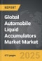 Automobile Liquid Accumulators Market - Global Strategic Business Report - Product Image