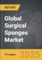 Surgical Sponges - Global Strategic Business Report - Product Thumbnail Image