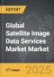 Satellite Image Data Services Market - Global Strategic Business Report - Product Image