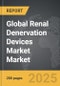 Renal Denervation Devices Market - Global Strategic Business Report - Product Thumbnail Image