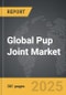 Pup Joint - Global Strategic Business Report - Product Thumbnail Image
