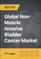 Non-Muscle Invasive Bladder Cancer - Global Strategic Business Report - Product Thumbnail Image