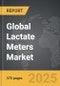 Lactate Meters - Global Strategic Business Report - Product Thumbnail Image