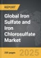 Iron Sulfate and Iron Chlorosulfate - Global Strategic Business Report - Product Thumbnail Image