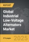 Industrial Low-Voltage Alternators - Global Strategic Business Report - Product Thumbnail Image