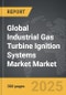 Industrial Gas Turbine Ignition Systems Market - Global Strategic Business Report - Product Thumbnail Image