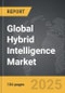 Hybrid Intelligence - Global Strategic Business Report - Product Thumbnail Image
