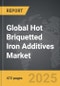 Hot Briquetted Iron (HBI) Additives - Global Strategic Business Report - Product Thumbnail Image