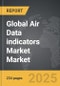 Air Data indicators Market - Global Strategic Business Report - Product Thumbnail Image