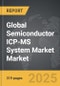 Semiconductor ICP-MS System Market - Global Strategic Business Report - Product Thumbnail Image