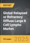 Relapsed or Refractory Diffuse Large B Cell Lympho - Global Strategic Business Report - Product Thumbnail Image