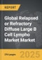 Relapsed or Refractory Diffuse Large B Cell Lympho Market - Global Strategic Business Report - Product Thumbnail Image