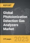 Photoionization Detection Gas Analyzers - Global Strategic Business Report - Product Image