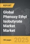 Phenoxy Ethyl Isobutyrate Market - Global Strategic Business Report - Product Image