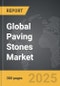 Paving Stones - Global Strategic Business Report - Product Thumbnail Image