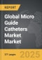 Micro Guide Catheters Market - Global Strategic Business Report - Product Thumbnail Image