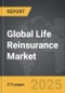 Life Reinsurance - Global Strategic Business Report - Product Thumbnail Image