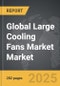 Large Cooling Fans Market - Global Strategic Business Report - Product Thumbnail Image