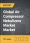Air Compressor Nebulizers Market - Global Strategic Business Report - Product Thumbnail Image