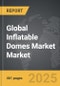 Inflatable Domes Market - Global Strategic Business Report - Product Thumbnail Image