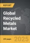Recycled Metals - Global Strategic Business Report - Product Thumbnail Image