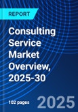 Consulting Service Market Overview, 2025-30- Product Image