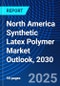 North America Synthetic Latex Polymer Market Outlook, 2030 - Product Thumbnail Image