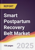 Smart Postpartum Recovery Belt Market Report: Trends, Forecast and Competitive Analysis to 2031- Product Image