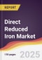 Direct Reduced Iron Market Report: Trends, Forecast and Competitive Analysis to 2031 - Product Thumbnail Image