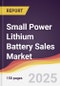 Small Power Lithium Battery Sales Market Report: Trends, Forecast and Competitive Analysis to 2031 - Product Thumbnail Image