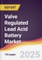 Valve Regulated Lead Acid Battery Market Report: Trends, Forecast and Competitive Analysis to 2031 - Product Thumbnail Image