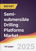 Semi-submersible Drilling Platforms Market Report: Trends, Forecast and Competitive Analysis to 2031- Product Image