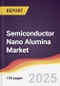 Semiconductor Nano Alumina Market Report: Trends, Forecast and Competitive Analysis to 2031 - Product Thumbnail Image