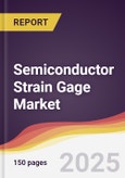 Semiconductor Strain Gage Market Report: Trends, Forecast and Competitive Analysis to 2031- Product Image