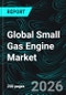 Global Small Gas Engine Market - Application Analysis & Forecast 2026-2034 - Product Thumbnail Image