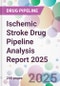 Ischemic Stroke Drug Pipeline Analysis Report 2025 - Product Thumbnail Image