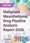 Malignant Mesothelioma Drug Pipeline Analysis Report 2026 - Product Thumbnail Image