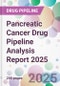 Pancreatic Cancer Drug Pipeline Analysis Report 2025 - Product Thumbnail Image