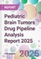 Pediatric Brain Tumors Drug Pipeline Analysis Report 2025 - Product Thumbnail Image